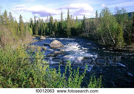 Sweden, Lapland, Ammarnäs vicinity View Large Photo Image Stock Image - Sweden, Lapland, Ammarnäs vicinity. Fotosearch