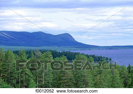 Stock Image - Sweden, Lapland, Saxnäs, landscape. Fotosearch
