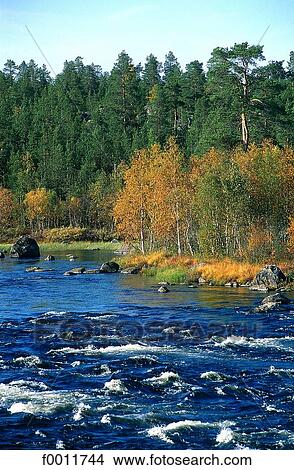Picture - Finland, Lapland, Inari, Juutuanjoki river. Fotosearch