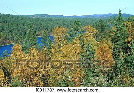 Finland, Lapland, Inari, Juutuanjoki river View Large Photo Image Stock Photo - Finland, Lapland, Inari, Juutuanjoki river. Fotosearch