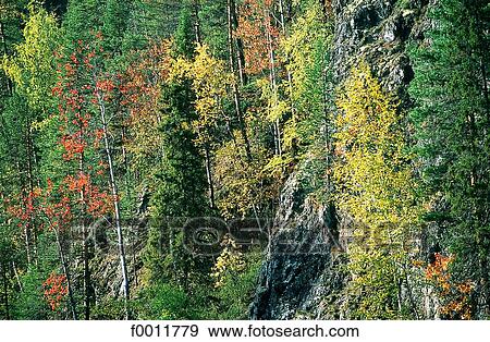 Finland, Oulanka national park, Kuusamo vicinity View Large Photo Image Stock Photo - Finland, Oulanka national park, Kuusamo vicinity. Fotosearch
