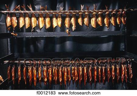 Denmark, Bornholm, Svanake, fish plant View Large Photo Image Stock Image - Denmark, Bornholm, Svanake, fish plant. Fotosearch