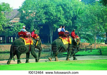 Thailand, Ayutthaya, elephant ride View Large Photo Image Picture - Thailand, Ayutthaya, elephant ride. Fotosearch