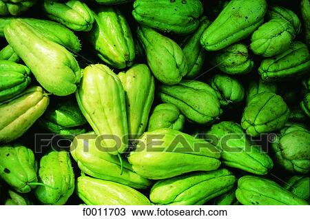 Domenican Republic, chouchou local veggie View Large Photo Image Stock Image - Domenican Republic, chouchou local veggie. Fotosearch