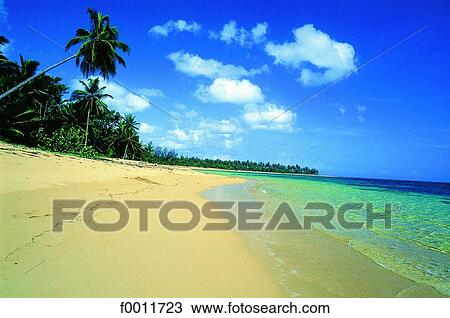 Domenican Republic, Las Terranas, the shoreline View Large Photo Image Stock Image - Domenican Republic, Las Terranas, the shoreline. Fotosearch