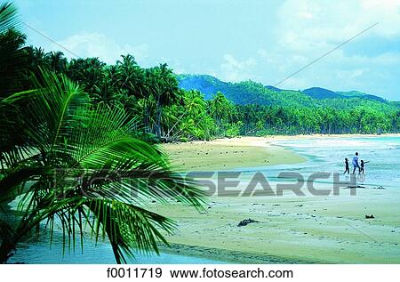 Stock Photo - Domenican Republic, Las Terranas, the beaches. Fotosearch