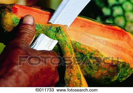 Stock Image - Domenican Republic, peeling a papaya. Fotosearch