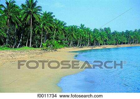 Picture - Domenican Republic, Sanchez beach. Fotosearch