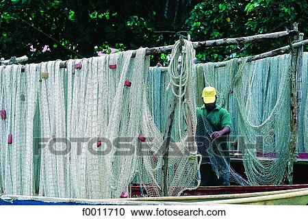 Domenican Republic, Sanchez, fishermen nets View Large Photo Image Stock Image - Domenican Republic, Sanchez, fishermen nets. Fotosearch