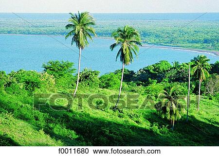 Jamaica, Golden Grove shoreline View Large Photo Image Stock Image - Jamaica, Golden Grove shoreline. Fotosearch