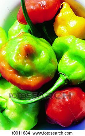 Picture - Jamaica, Kingston market, red and green peppers. Fotosearch