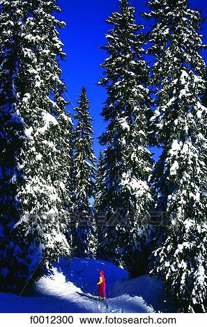 Cross country skiing View Large Photo Image Stock Image - Cross country skiing. Fotosearch