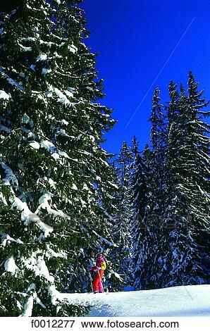 Cross country skiing View Large Photo Image Stock Photo - Cross country skiing. Fotosearch