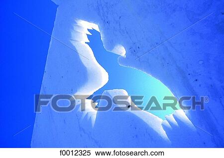 Stock Photography - Ice sculpture. Fotosearch