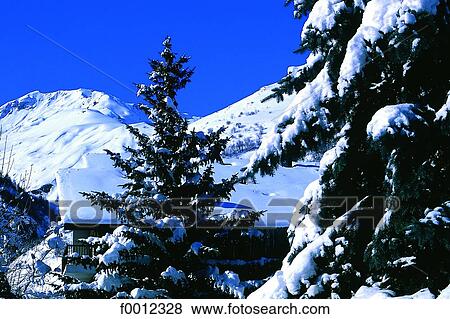 Mountain house View Large Photo Image Stock Photo - Mountain house. Fotosearch