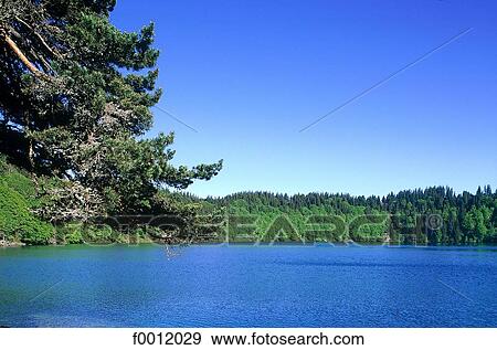Auvergne, lake Pavin View Large Photo Image Stock Photo - Auvergne, lake Pavin. Fotosearch