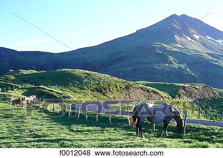 Auvergne, Puy Mary View Large Photo Image Stock Photo - Auvergne, Puy Mary. Fotosearch