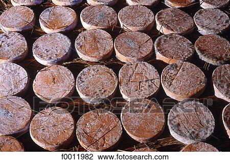 Stock Image - Auvergne, St Julien, cellar of St Nectaire cheese. Fotosearch