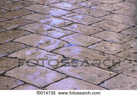 Dubrovnik, wet pavement on the main street (Stradun) View Large Photo Image Stock Photography - Dubrovnik, wet pavement on the main street (Stradun). Fotosearch