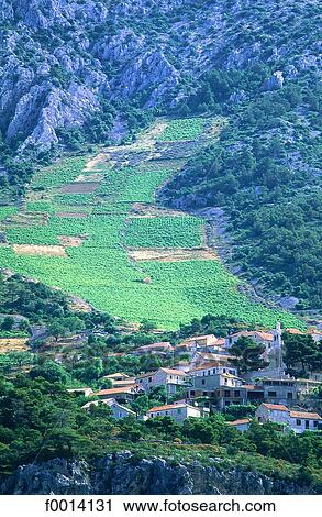 Stock Image - Hvar Island, landscape. Fotosearch