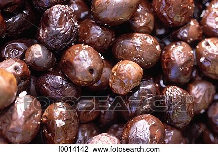 Hvar Island, olives View Large Photo Image Stock Image - Hvar Island, olives. Fotosearch