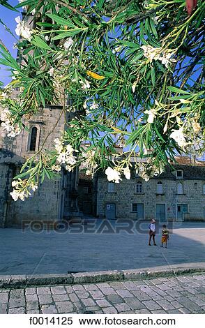 Hvar Island View Large Photo Image Stock Photography - Hvar Island. Fotosearch