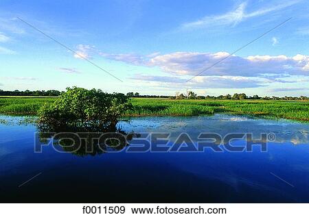 Australia, Northern territories, Kakadu national park View Large Photo Image Stock Photo - Australia, Northern territories, Kakadu national park. Fotosearch