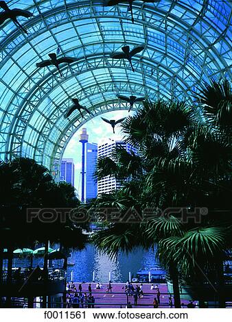 Australia, Sydney, Darling Harbour shopping center View Large Photo Image Stock Image - Australia, Sydney, Darling Harbour shopping center. Fotosearch