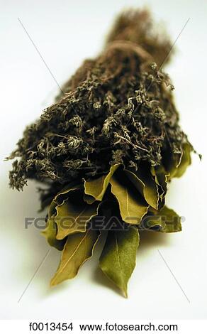 Aromatic herbs View Large Photo Image Picture - Aromatic herbs. Fotosearch