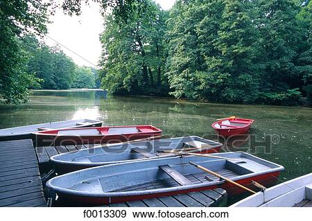 Tiergarten lake, rental paddling boats View Large Photo Image Stock Photo - Tiergarten lake, rental paddling boats. Fotosearch