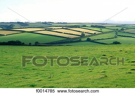 England, Somerset, Exmoor national park View Large Photo Image Stock Photography - England, Somerset, Exmoor national park. Fotosearch