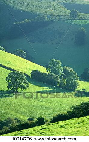 England, Somerset, Exmoor national park, Winford vicinity View Large Photo Image Stock Photograph - England, Somerset, Exmoor national park, Winford vicinity. Fotosearch