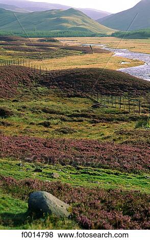 Scotland, Aberdeenshire, Braemar, Grampians landscape View Large Photo Image Stock Photo - Scotland, Aberdeenshire, Braemar, Grampians landscape. Fotosearch