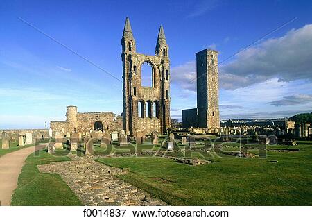 Scotland, Fife, St Andrews ruined cathedral View Large Photo Image Stock Photo - Scotland, Fife, St Andrews ruined cathedral. Fotosearch