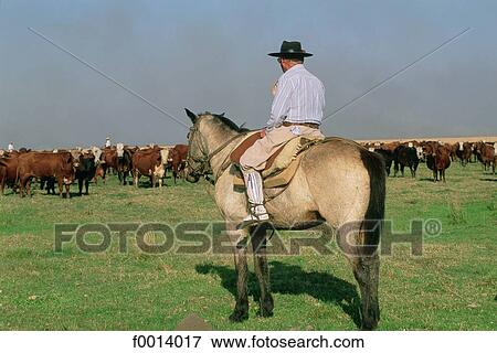 Argentina, Patagonia, gaucho View Large Photo Image Stock Photo - Argentina, Patagonia, gaucho. Fotosearch