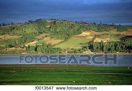Chile, Chiloe Island View Large Photo Image Stock Photo - Chile, Chiloe Island. Fotosearch