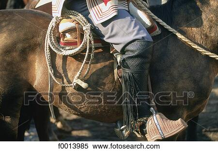 Chile, rodeo View Large Photo Image Stock Photography - Chile, rodeo. Fotosearch