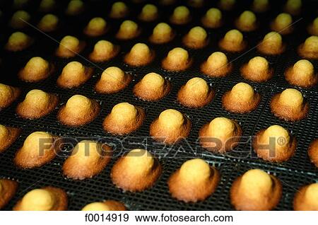 Stock Photo - France, Lorraine, Commercy madeleine cakes. Fotosearch