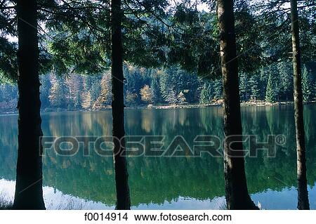 Picture - France, Lorraine, la Bresse area, lac des corbeaux (crow lake). Fotosearch
