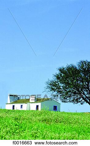 Stock Image - Portugal, Alentejo, farm near Arraiolos. Fotosearch