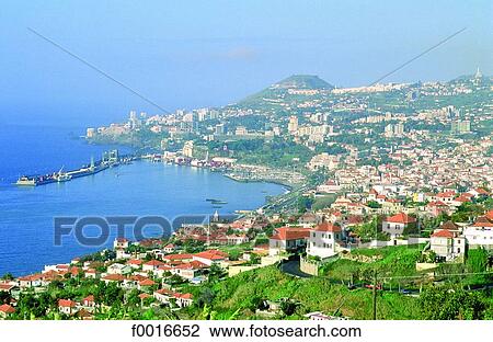 Portugal, Madeira, Funchal View Large Photo Image Stock Image - Portugal, Madeira, Funchal. Fotosearch