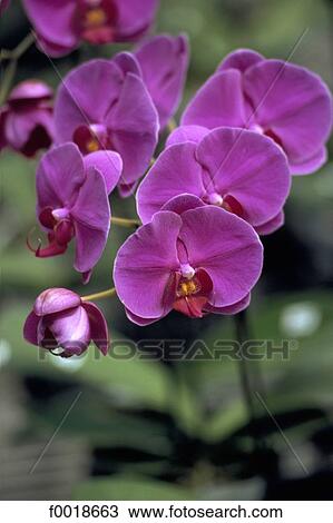 China, Taiwan, Taroko national park View Large Photo Image Stock Image - China, Taiwan, Taroko national park. Fotosearch