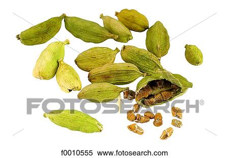 Cardamom View Large Photo Image Stock Photography - Cardamom. Fotosearch