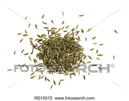 Carraway View Large Photo Image Stock Image - Carraway. Fotosearch