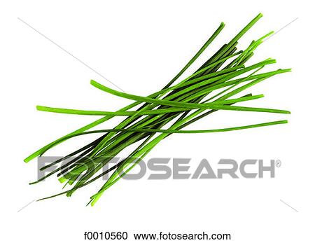 Chive View Large Photo Image Stock Image - Chive. Fotosearch