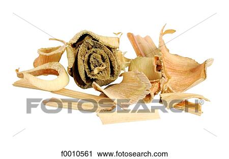 Stock Image - Citronella. Fotosearch