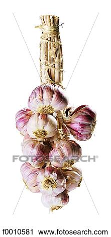 Cloves of garlic View Large Photo Image Stock Image - Cloves of garlic. Fotosearch