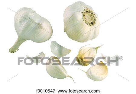 Cloves of garlic View Large Photo Image Stock Photo - Cloves of garlic. Fotosearch