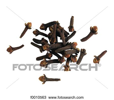 Cloves View Large Photo Image Stock Image - Cloves. Fotosearch