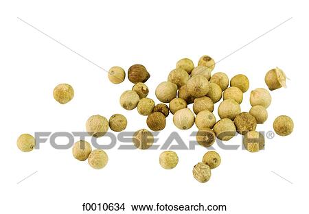 Picture - Ground white pepper. Fotosearch